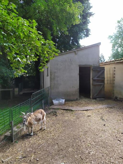 L'Echappee Belle Bed & Breakfast Chartres Bagian luar foto