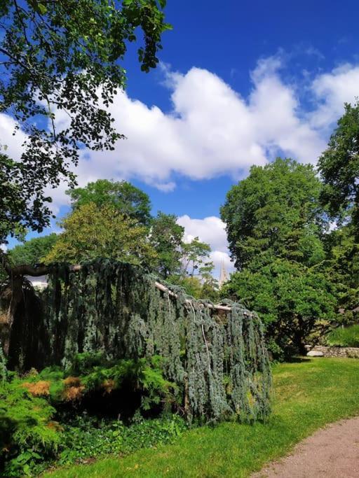 L'Echappee Belle Bed & Breakfast Chartres Bagian luar foto